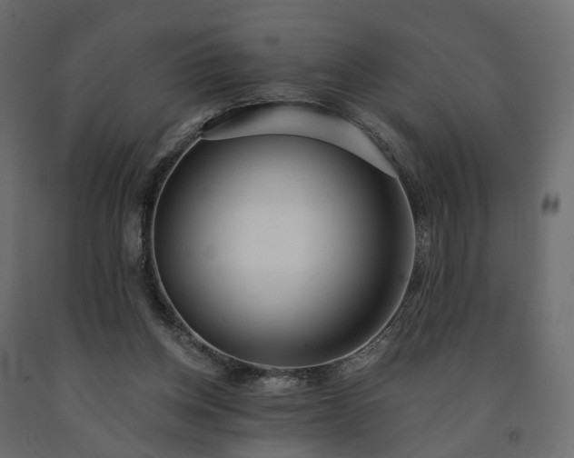 X0000091560158200708241823