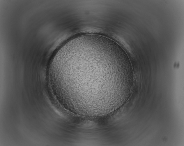 X0000091560159200708241823