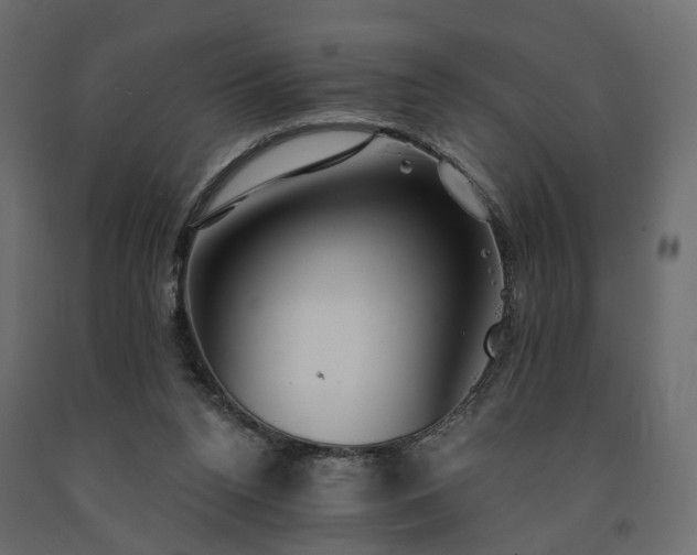 X0000091560160200708241823