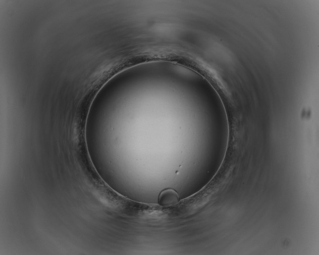 X0000091560161200708241823