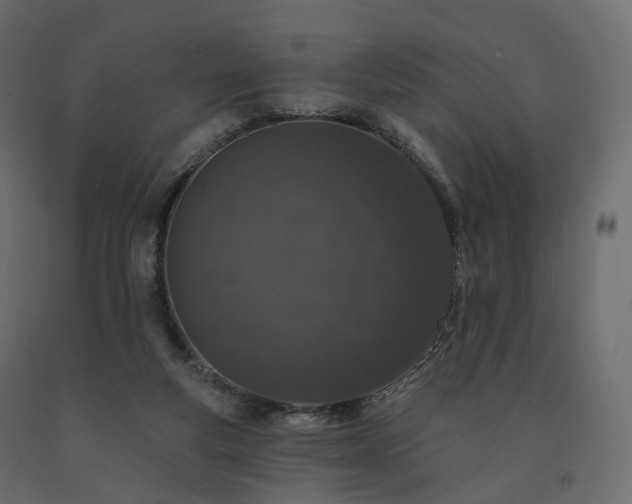 X0000091560163200708241823