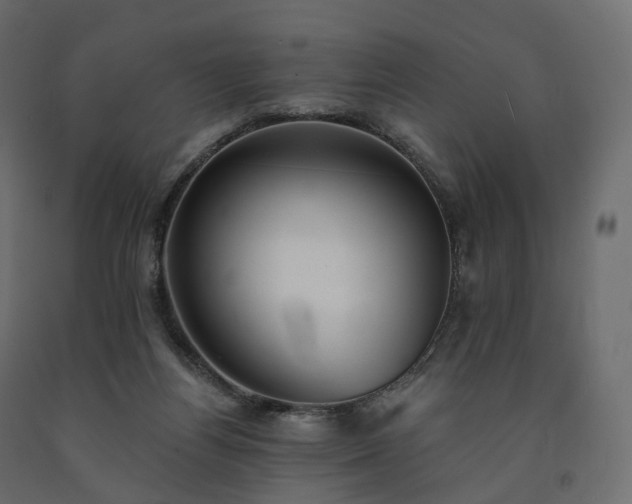 X0000091560164200708241823