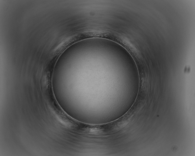 X0000091560165200708241823