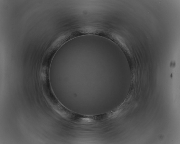 X0000091560167200708241823