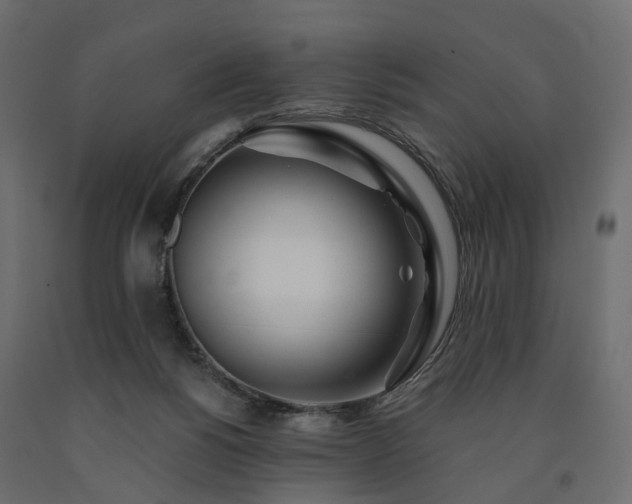 X0000091560168200708241823