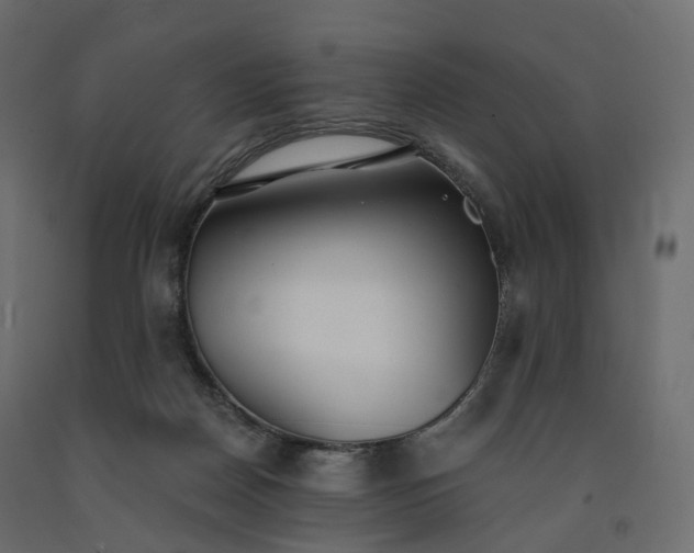 X0000091560170200708241823