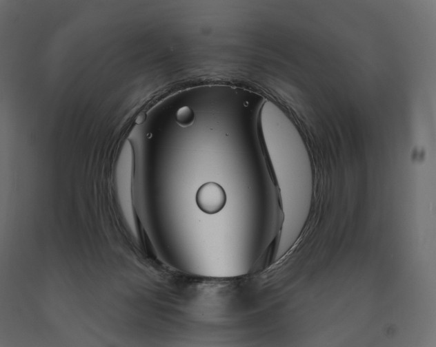 X0000091560172200708241823