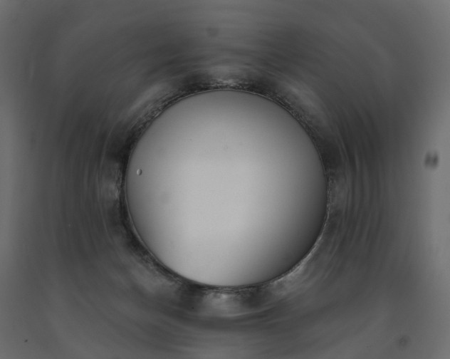 X0000091560174200708241823