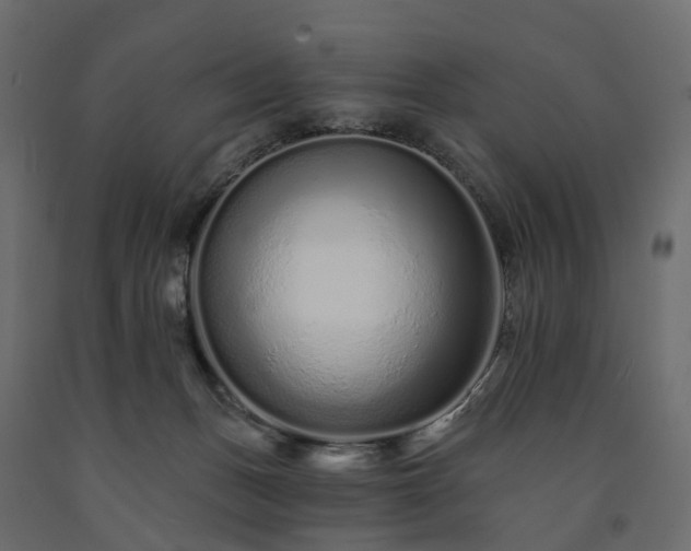 X0000091560175200708241823