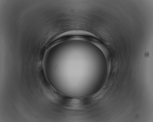 X0000091560176200708241823