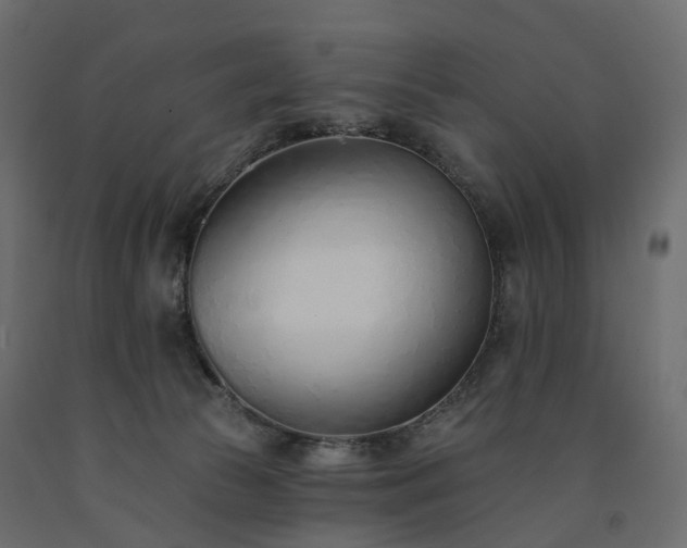 X0000091560177200708241823