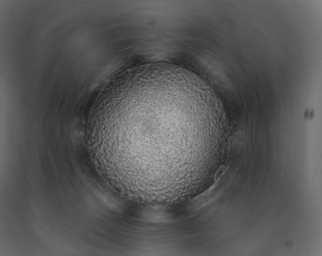 X0000091560179200708241823