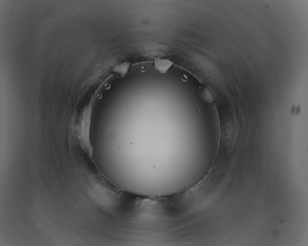 X0000091560180200708241823