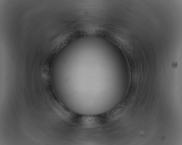 X0000091560181200708241823