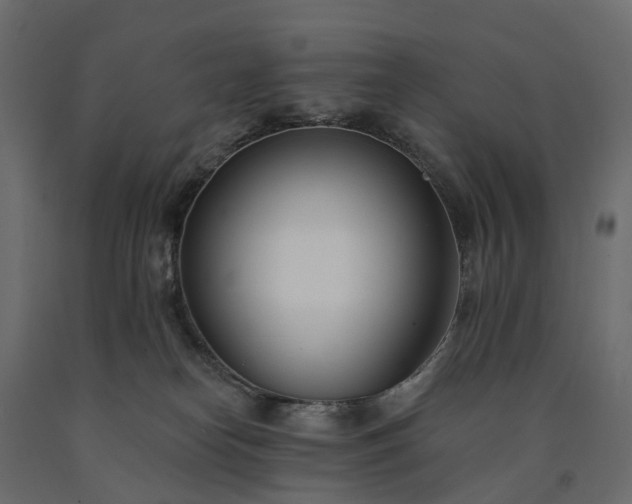 X0000091560182200708241823