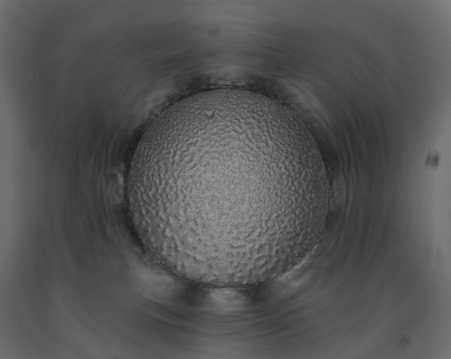 X0000091560183200708241823