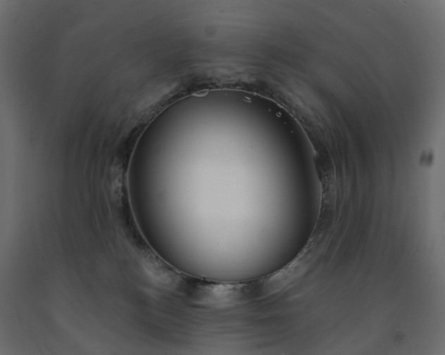 X0000091560184200708241823