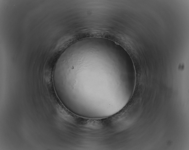 X0000091560185200708241823