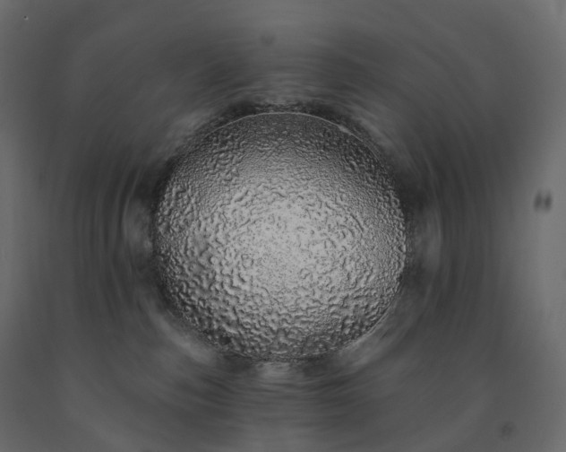 X0000091560187200708241823