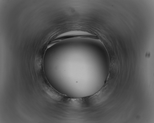 X0000091560188200708241823