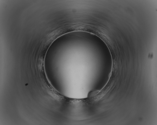 X0000091560189200708241823