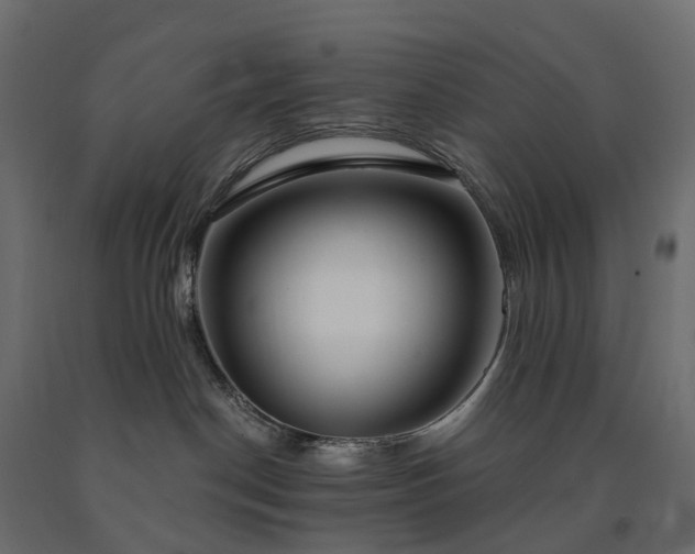 X0000091560190200708241823