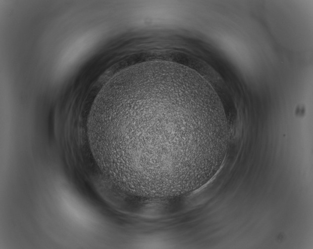 X0000091560191200708241823