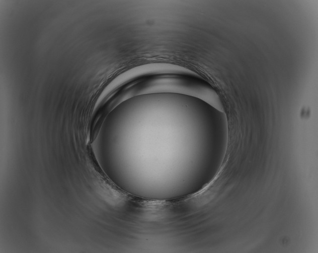 X0000091560192200708241823