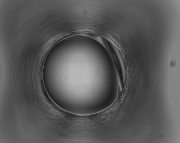 X0000091560193200708241823