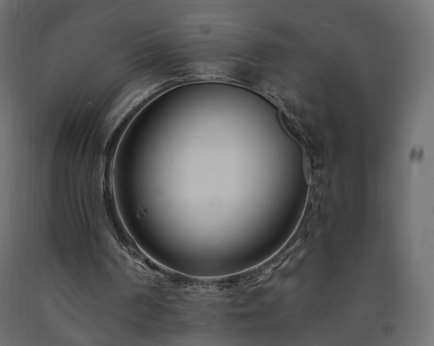 X0000091560194200708241823