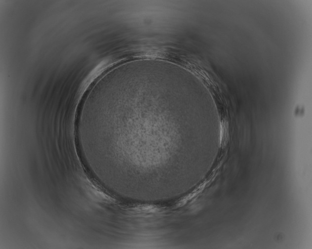 X0000091560195200708241823