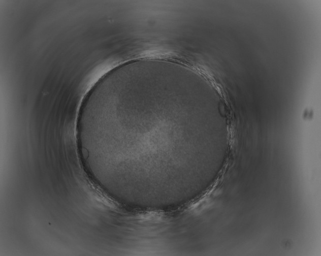 X0000091560196200708241823