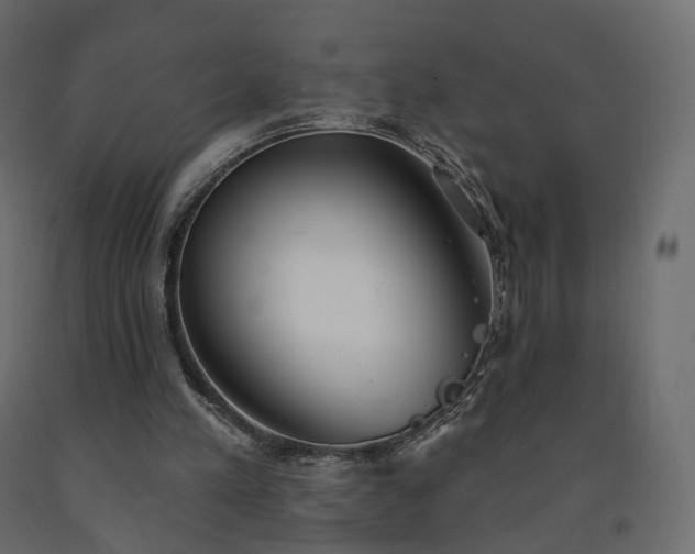 X0000091560197200708241823