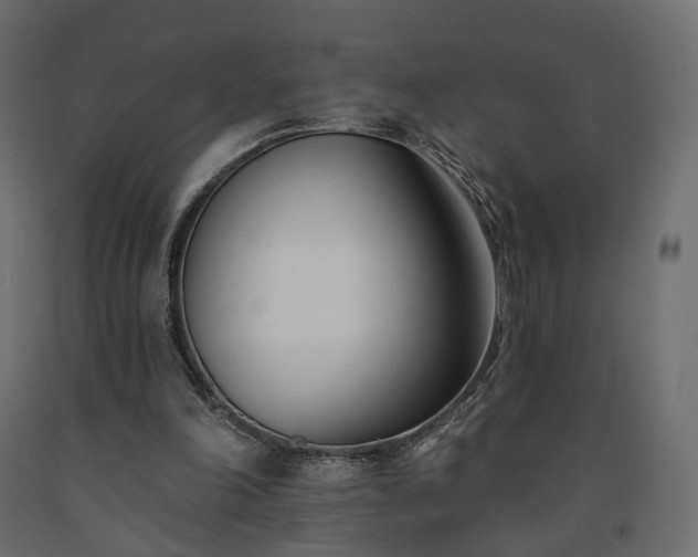 X0000091560198200708241823