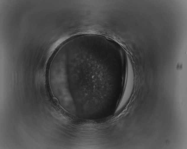 X0000091560200200708241823