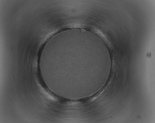 X0000091560202200708241823