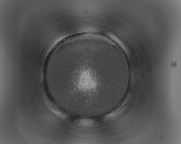 X0000091560203200708241823