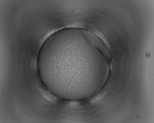 X0000091560204200708241823