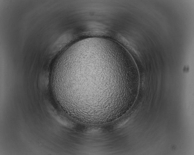 X0000091560206200708241823