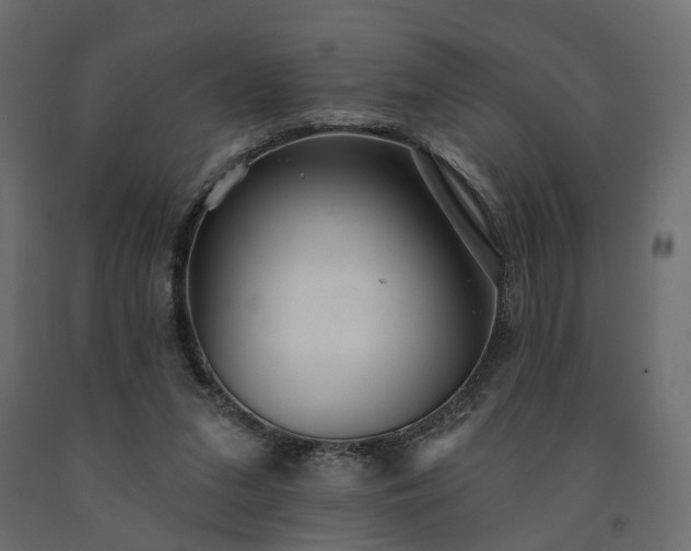 X0000091560207200708241823