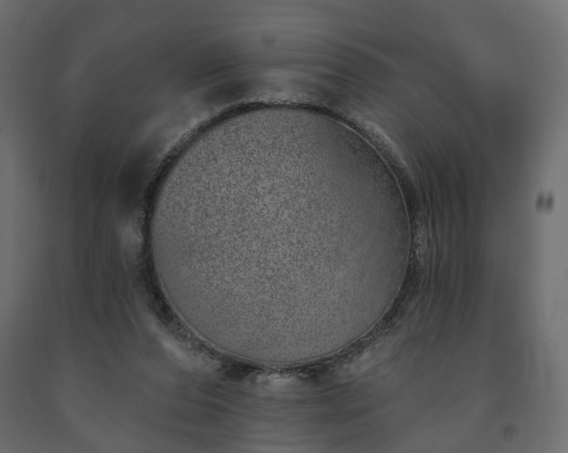 X0000091560208200708241823