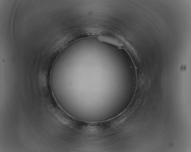 X0000091560209200708241823