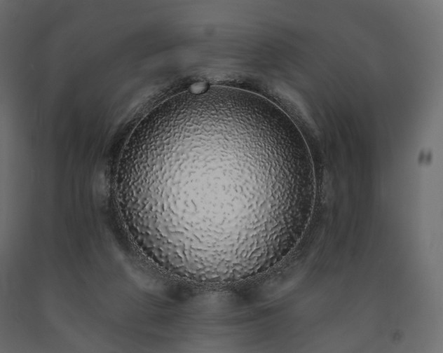 X0000091560210200708241823