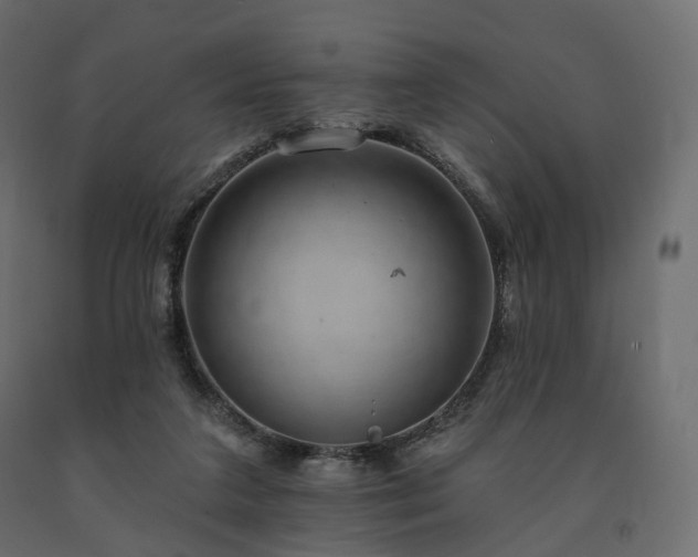 X0000091560211200708241823