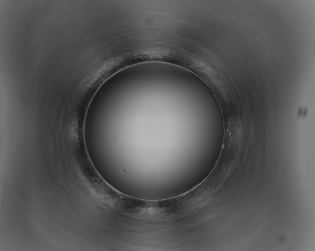 X0000091560212200708241823