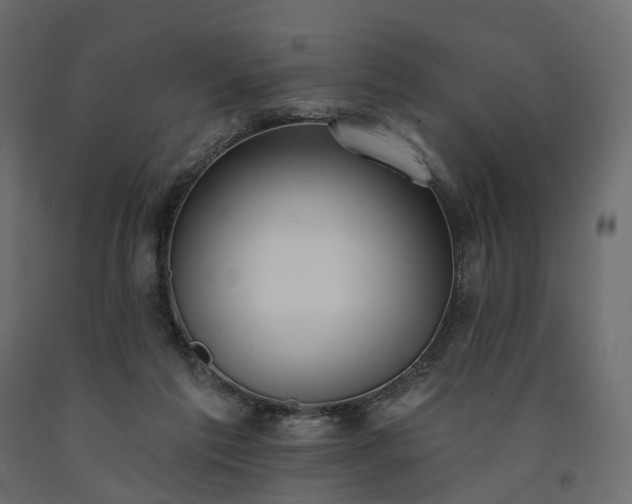 X0000091560213200708241823