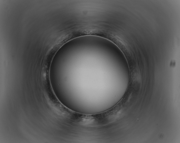 X0000091560214200708241823