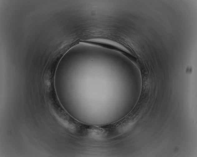 X0000091560215200708241823