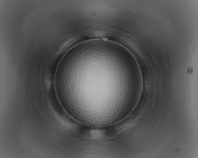 X0000091560216200708241823