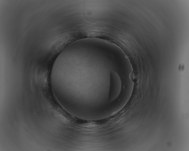 X0000091560219200708241822